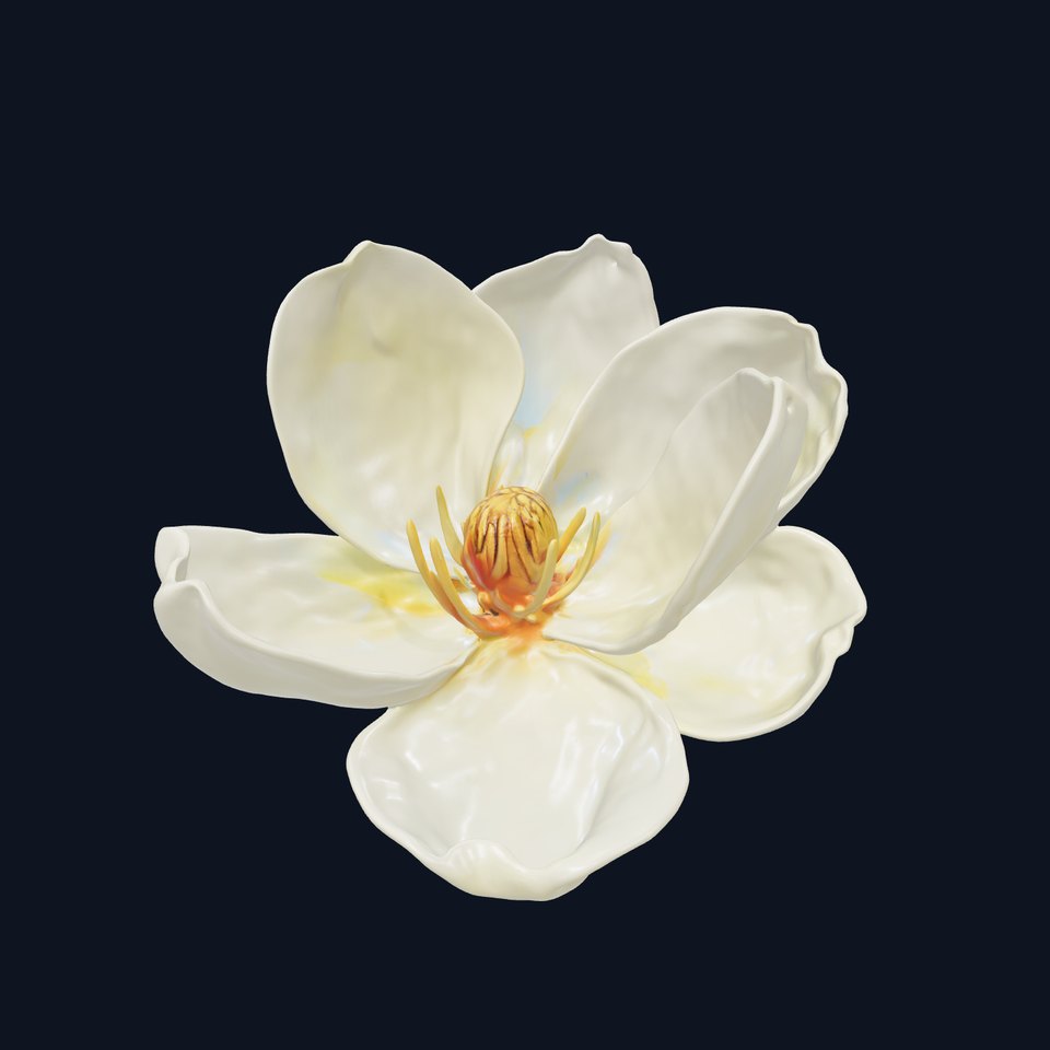 White Magnolia Flower Model Pack